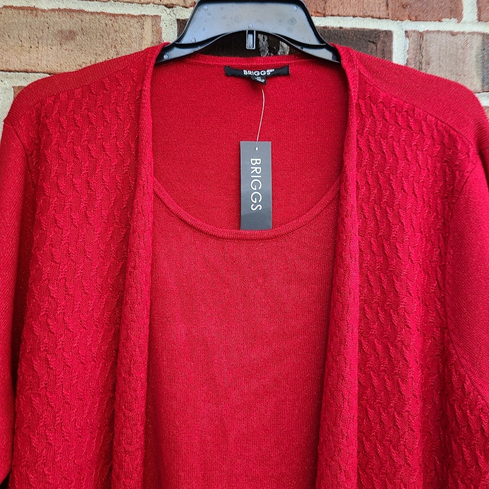Briggs Red Metallic Sweater - Picture 3 of 9